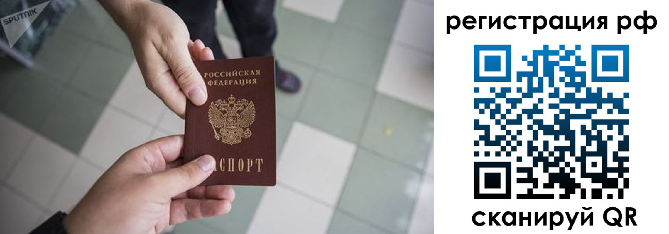 прописка гарантия в Тульской области